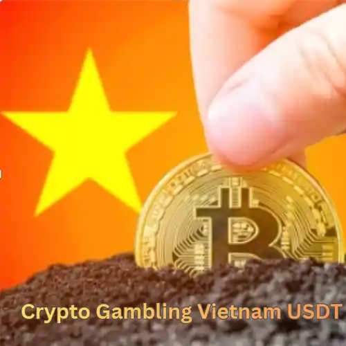 Crypto Gambling Vietnam USDT